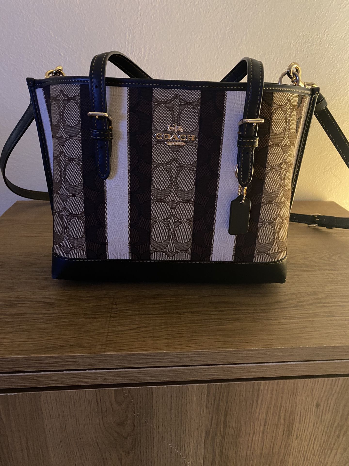 Mini Brown, Crème And Tan Coach Bag