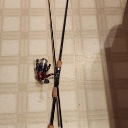 Different Fishing Poles