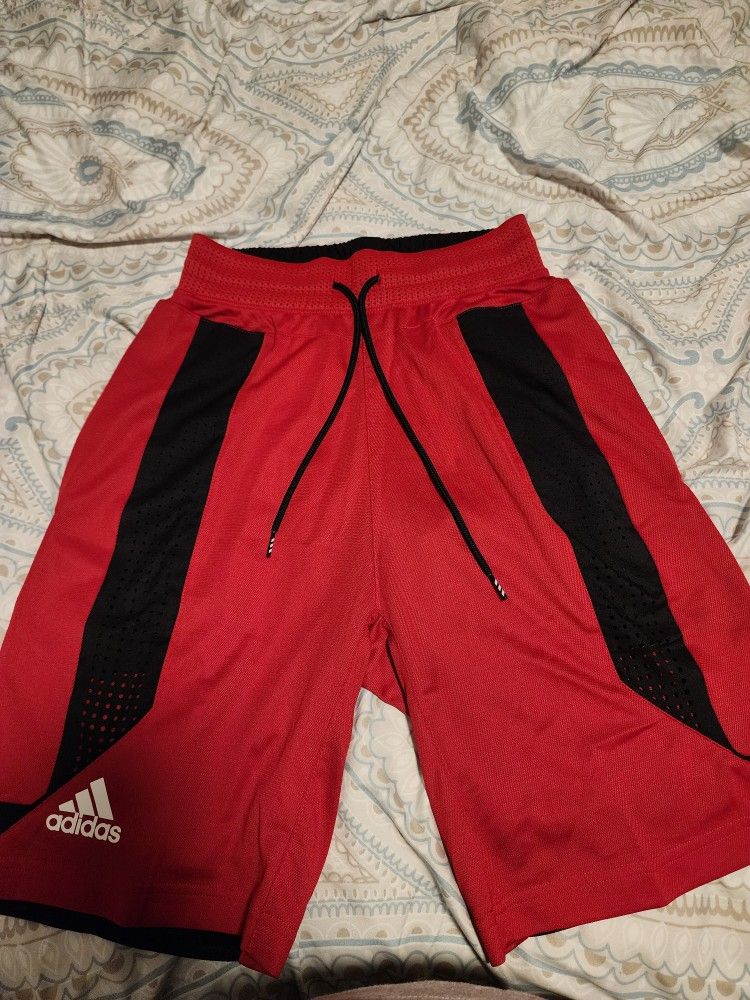 Adidas Basketball Shorts