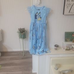 Bluey Girls Nightgown New