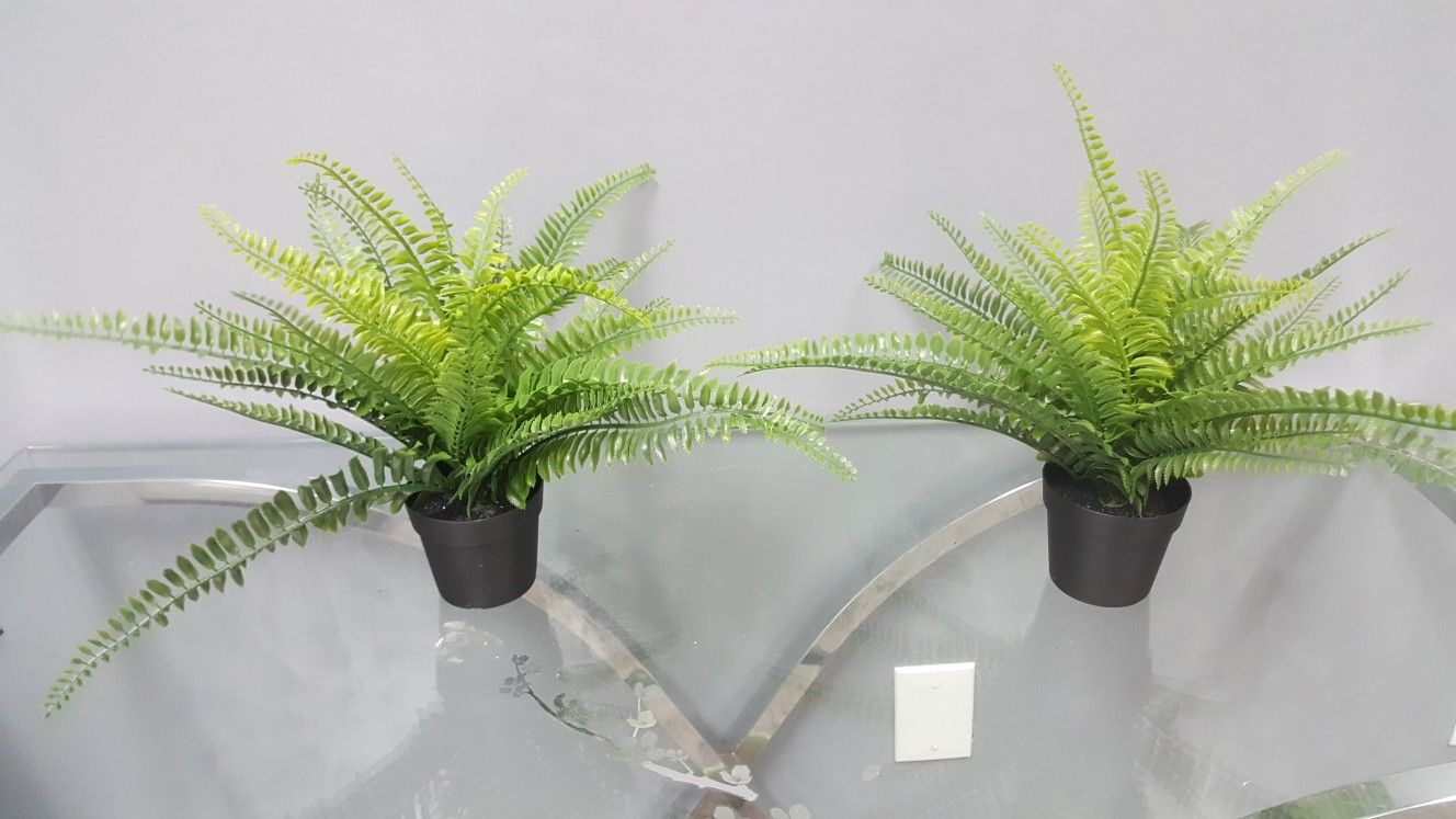 2 beautiful plastic plants