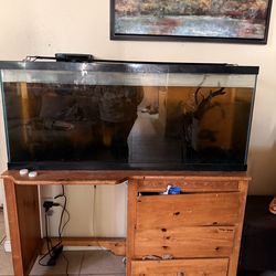 50 gallon fish tank