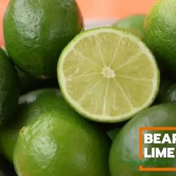 Bearss Lime Tree (Persian Lime) – Fruit Producing Citrus 🌿🍋