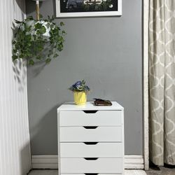 Organizer 