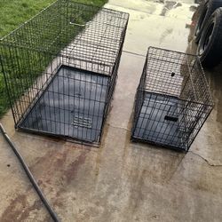Kennels