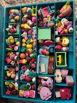 300+ Shopkins Collection with Storage Case0