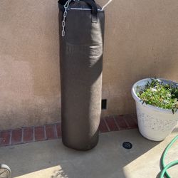 Punching  Bag