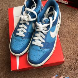 blue dark marina dunks