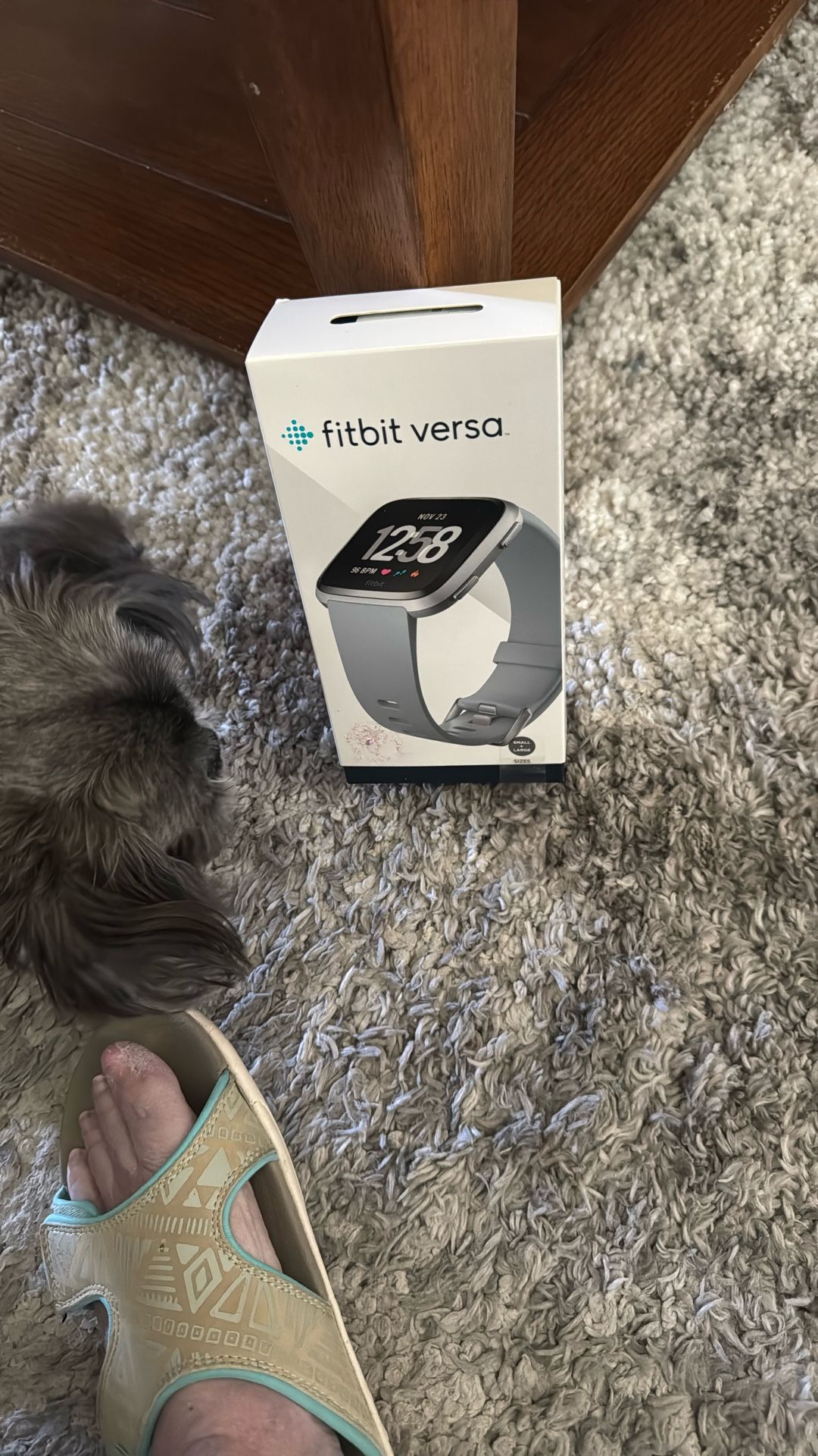 Fitbit Versa