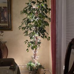 6 FT ARTIFICIAL FICUS TREE WITH LIGHTS