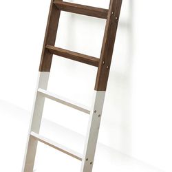 Ladder Shelf New 