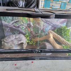 Lizard Tank