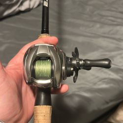 Daiwa SV TW Reel