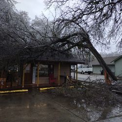 Tree Trimming For Sale (Landscaping And Construction)