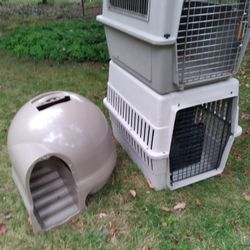 Dog, Pet Carriers, Cat Litter Box