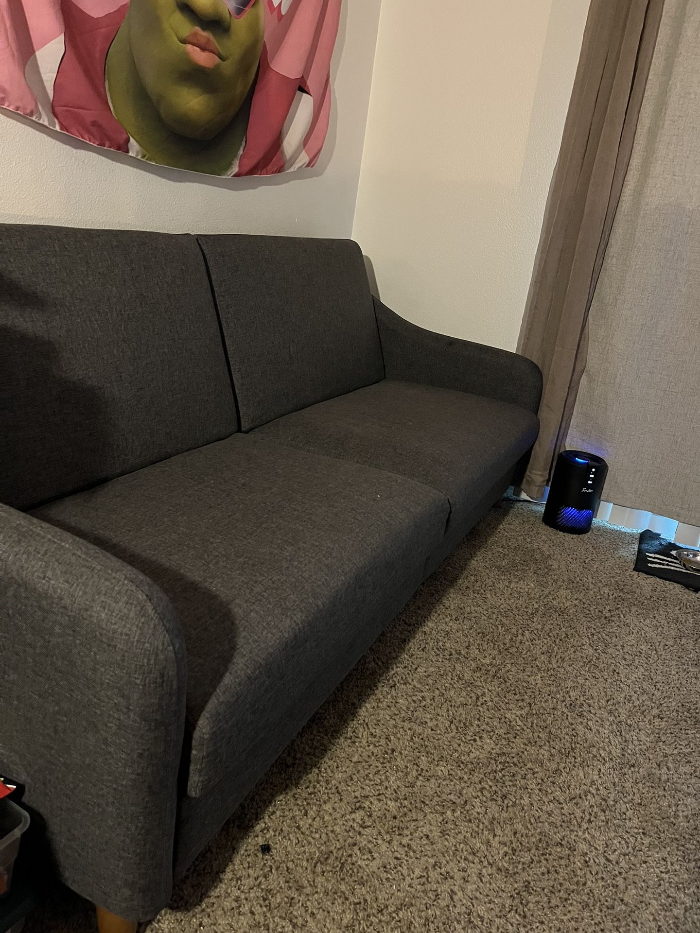 Futon Couch