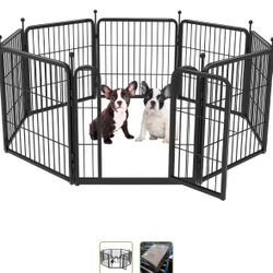 Puppy, Small Or Medium Size Dogs