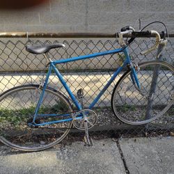 Tall Frame Schwinn Worldsport Singlespeed Road Bike W Drop Bar/ Freewheel 