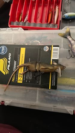 Small topwater rat