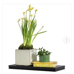 In Place Warwick Bracketless Shelves