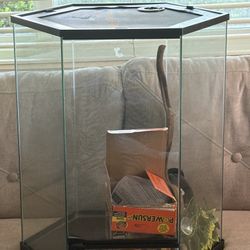 Glass Reptile Enclosure