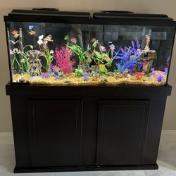 55-gal Fish Tank, Supplies And Cabinet — Fish Not Included