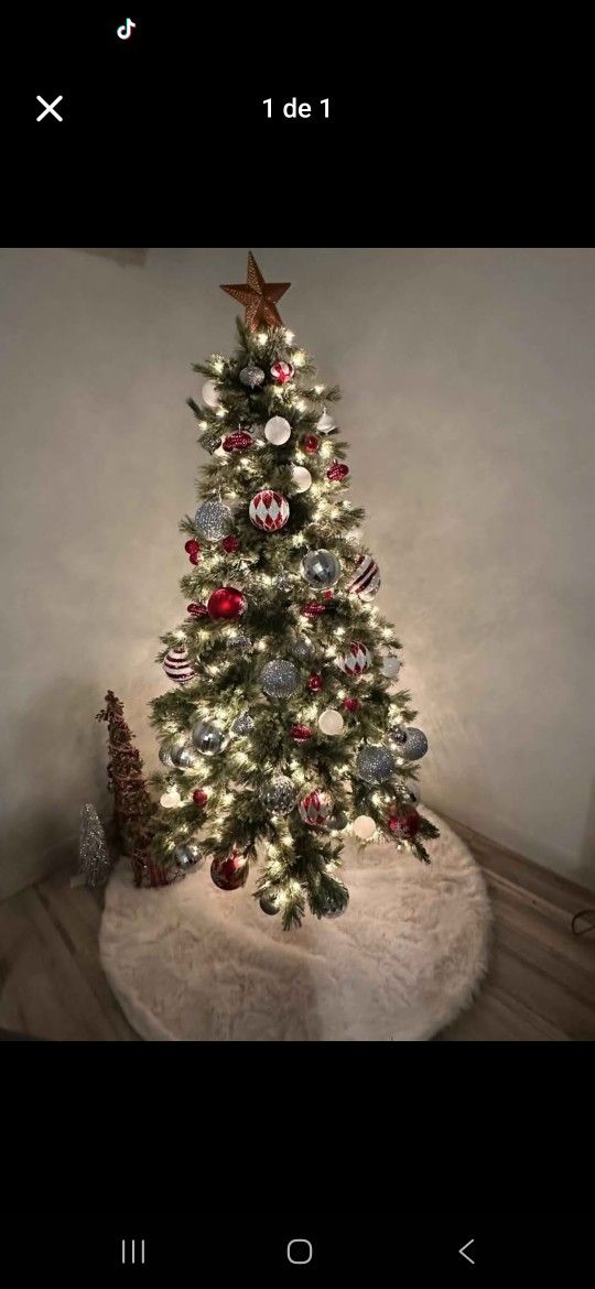 Arnolito D Navidad Y Decoración