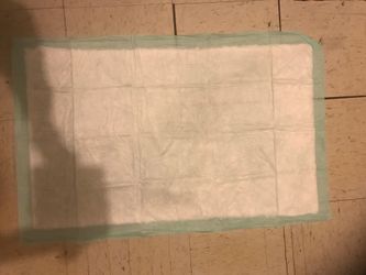 XL WEE WEE PADS 36 x 22