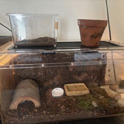 Rehoming Enclosure/Tank 