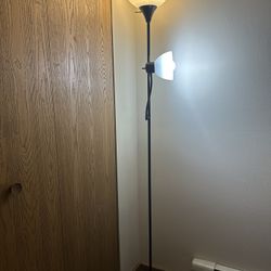 Floor Lamp with Reading Light
