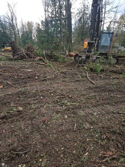 Clearing in much more