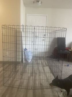 Big Animal Crate/ Cage