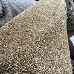 Brown Carpet $425