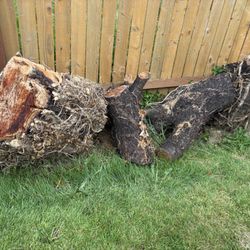Free Cherry Wood