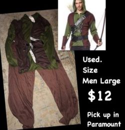 Adult Robin costume