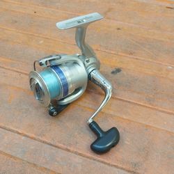 Daiwa Fishing Reel 3000 Size
