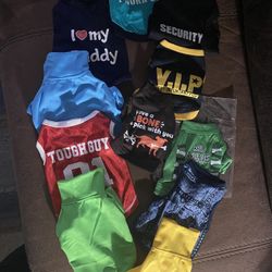 Boy Puppy Wear