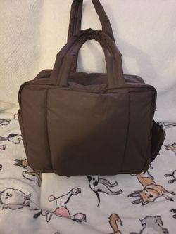 Calpak carry on mint