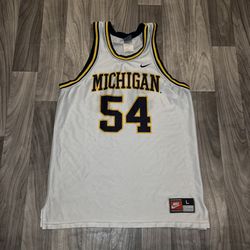 SIZE LARGE NIKE MICHIGAN WOLVERINES ROBERT TRAYLOR #54 NCAA BASKETBALL JERSEY