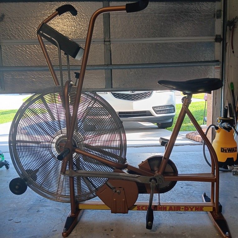 SCHWINN Air-Dyne Cardio Bike