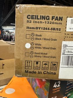 Ceiling fan Ceiling fan