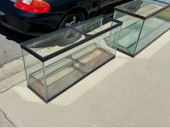 FREE — 50 Gallon Aquarium | Must Pick Up Today