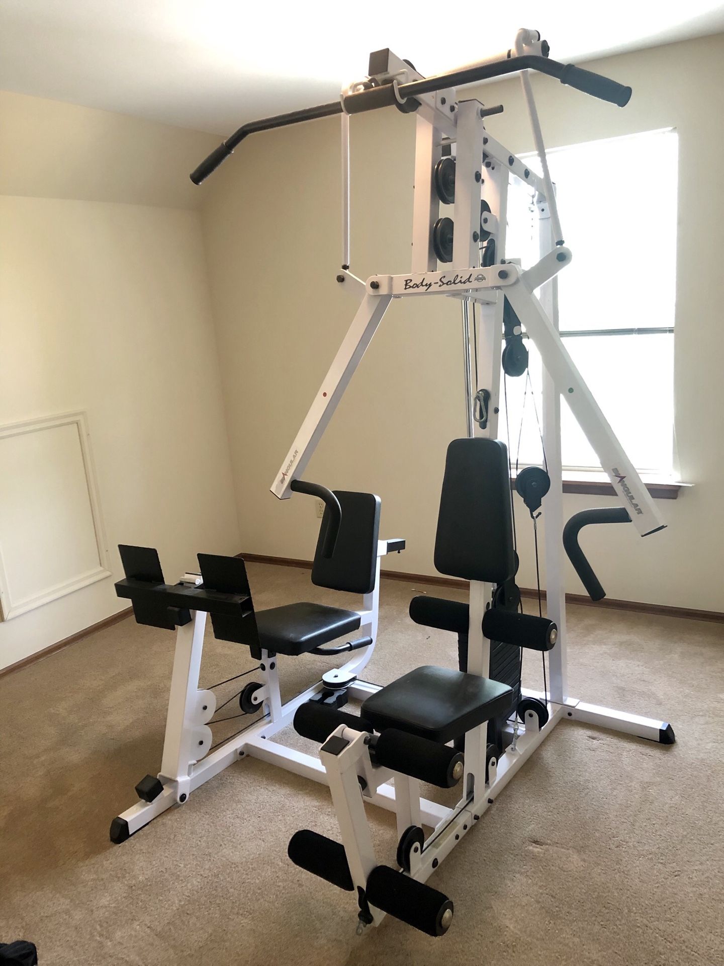 Body solid home gym with leg press and weight stack
