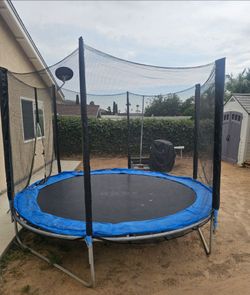 Trampoline FREE