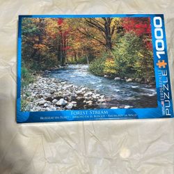 1000 Piece Puzzle 