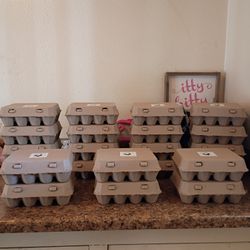 Fresh Organic Eggs