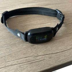 Bark Collar