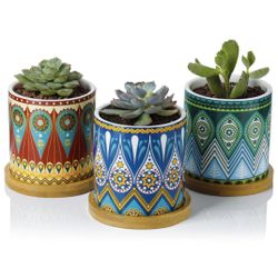 Succulent Plant Pots - 3 Inch Small Ceramic Cylindrical Planter