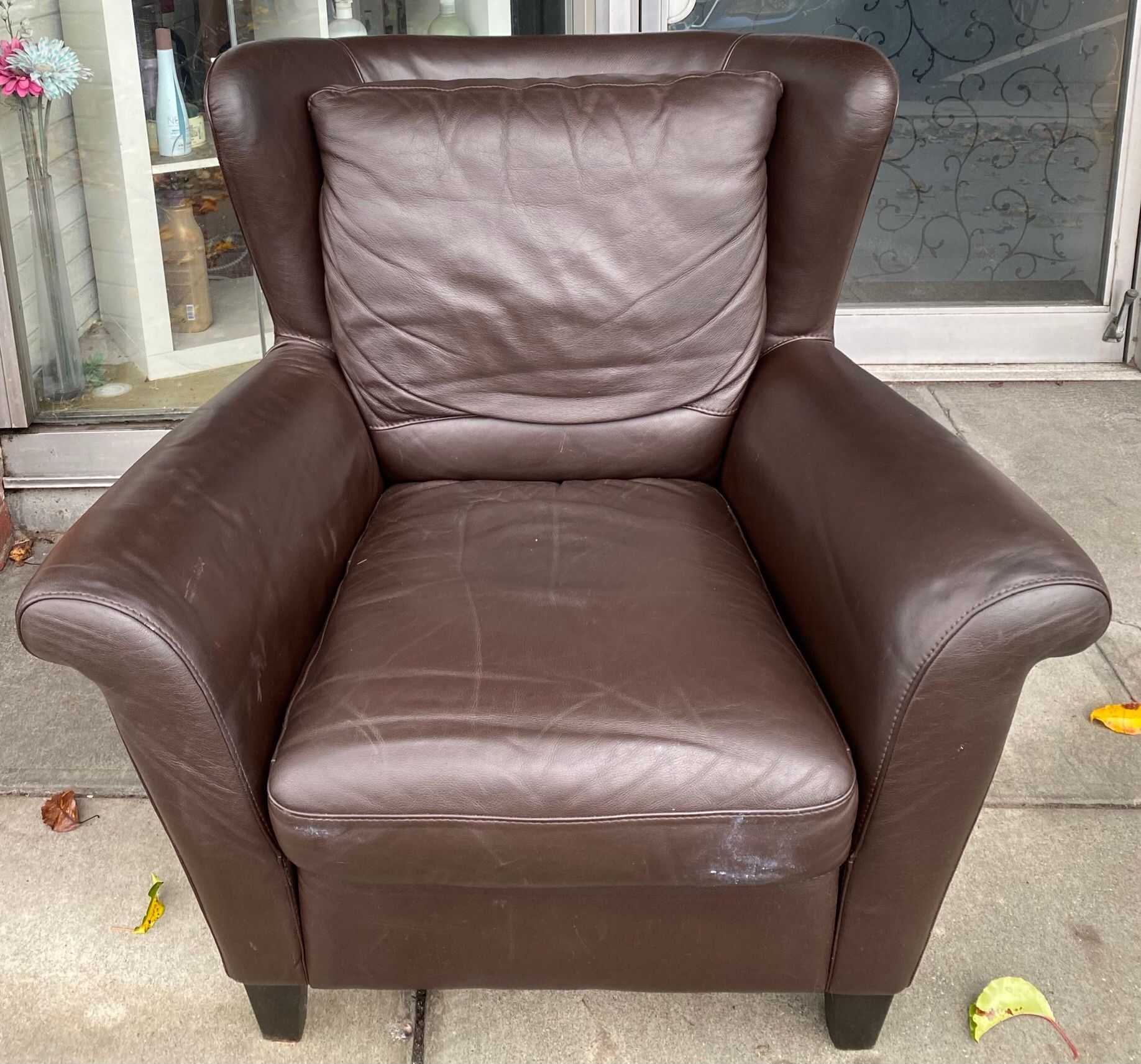  Club Chair | Natuzzi Made in Italy | Dark Brown | Wingback