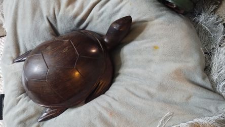 Wooden Turtle